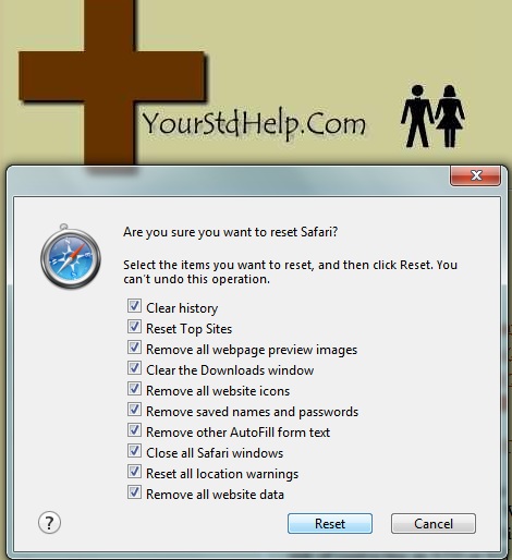 Delete Safari History Delete Safari History